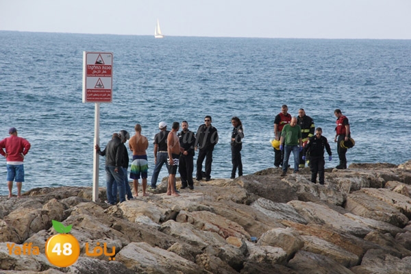 jotha northyaffa dolfan (14).JPG